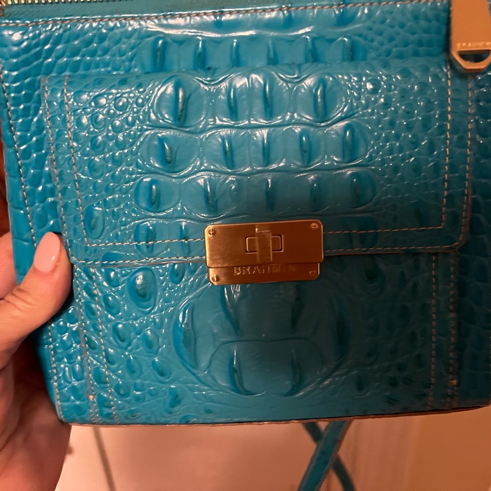 Brahmin crossbody organizer - Beautiful rare  color